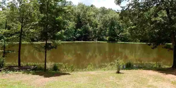 20065 NELLIE DR