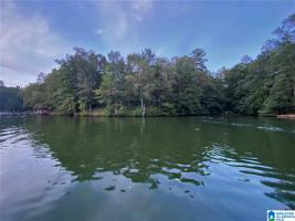 Lot 1 PAM ST