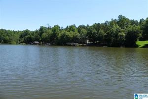 Lot 27 COUNTY ROAD 4315