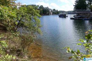 Lot 15 BLUEGILL DR
