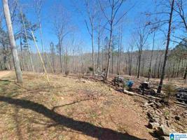 1278 COUNTY ROAD 223