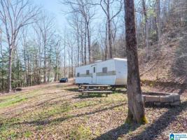 597 COUNTY ROAD 4028