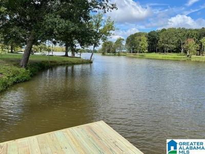 225 COUNTY ROAD 115