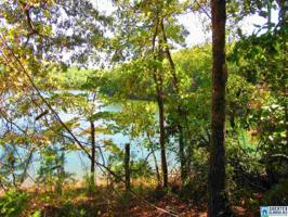 .802 Acres CO RD 2811