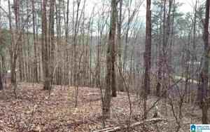 Lot 12 OUTBACK COVE DRIVE