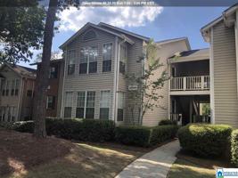 810 MORNING SUN DR