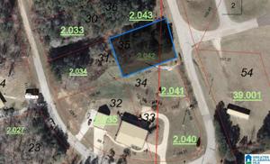 Lot 35 BLUFFS CIRCLE