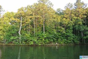 Lot 20 CO RD 897