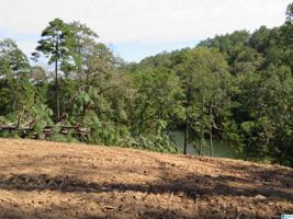 Lot 7 PRESERVE DRIVE