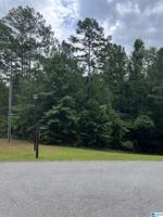 Lot 1 BLUEGILL DRIVE