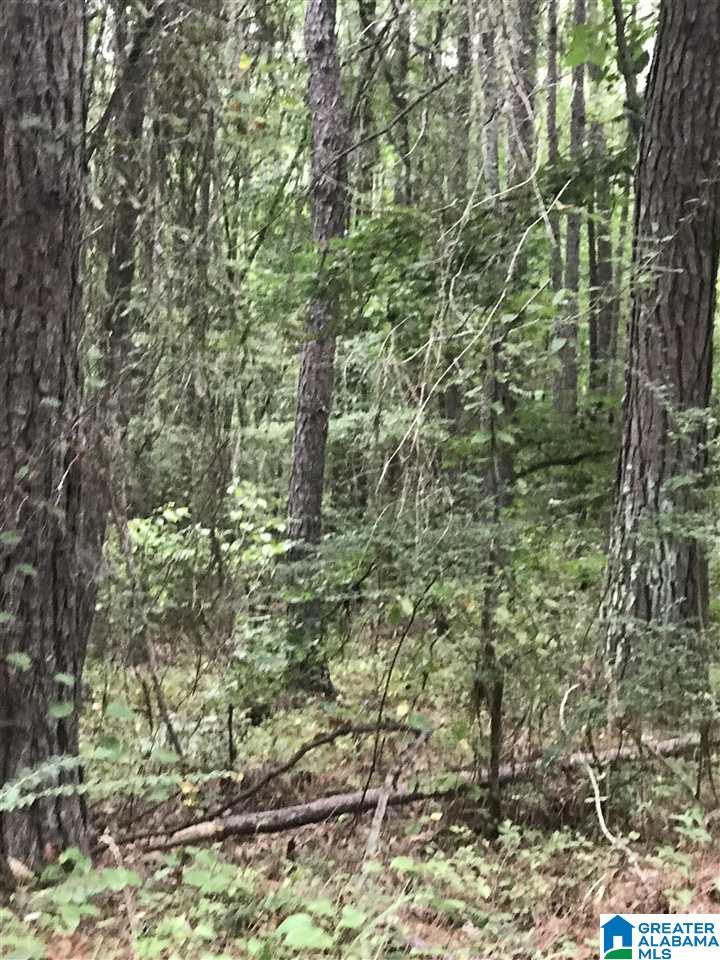 Image 1: Image 1