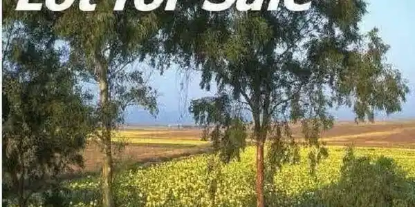 Lot 23 DEER CHASE RD