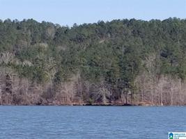 1057 COOSA RUN