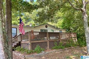 #363 COUNTY ROAD 8951