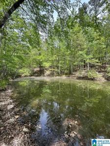 Lots 123 RED CEDAR DRIVE