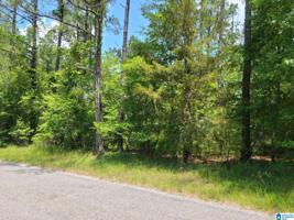 Lot 15 COUNTY ROAD 6