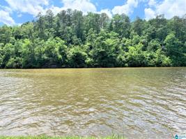 489 COUNTY ROAD 4312