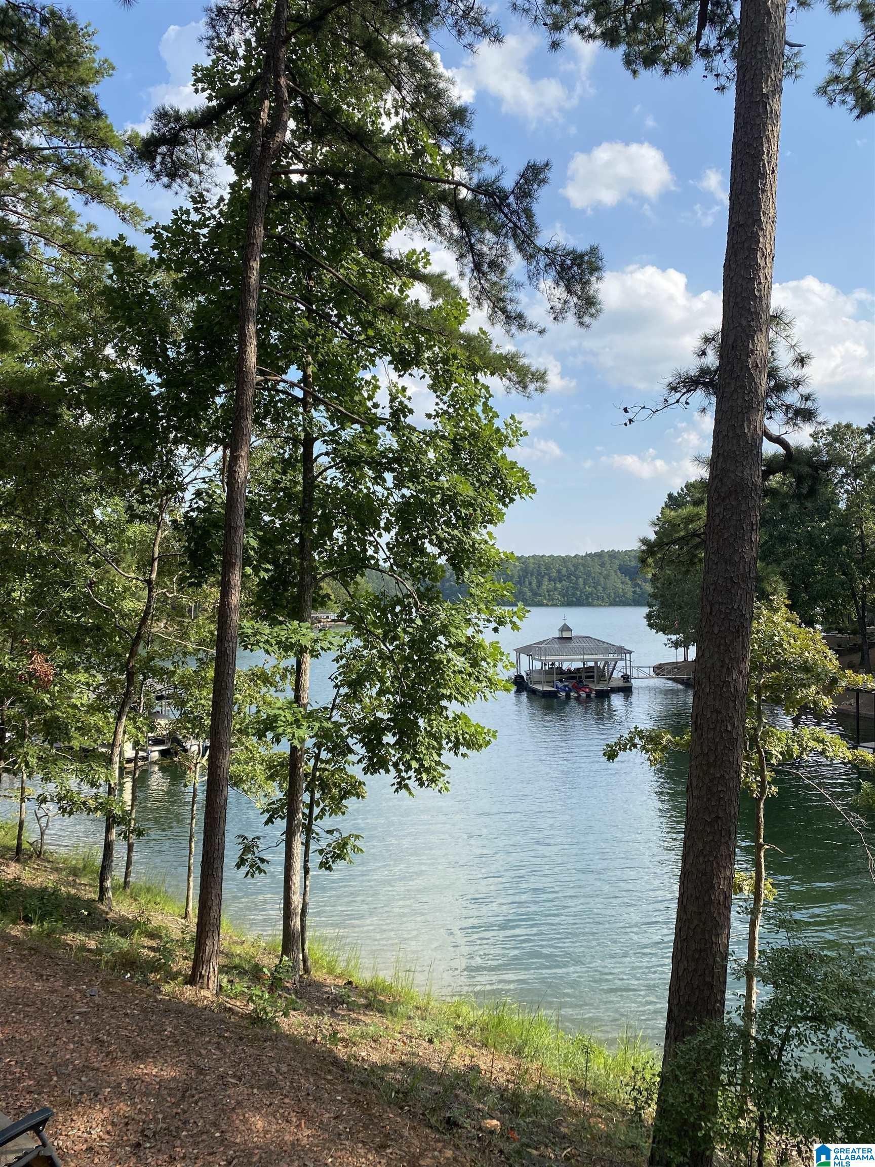 236 BLUEGILL DRIVE, WEDOWEE, AL lhrmls01390831