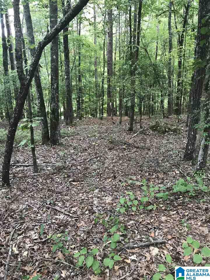 Image 1: Image 1