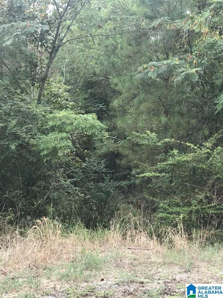 Image 1: Image 1