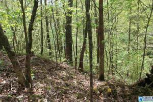 Lot 2 CO RD 4030