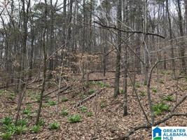 Lot 24.6 ZUBER RD