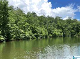 Lot 39.2 Acres COUNTY ROAD 243