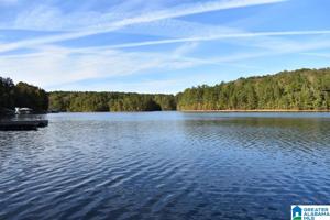 Lot 18 COUNTY ROAD 2381