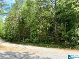 Lot 15 WOODGATE SHORES DRIVE