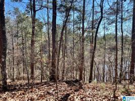 Lot 6 OAK LEAF DRIVE