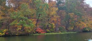 Lot 6 PRESERVE CIRCLE