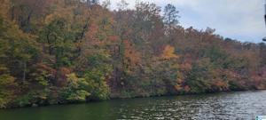 Lot 7 PRESERVE CIRCLE