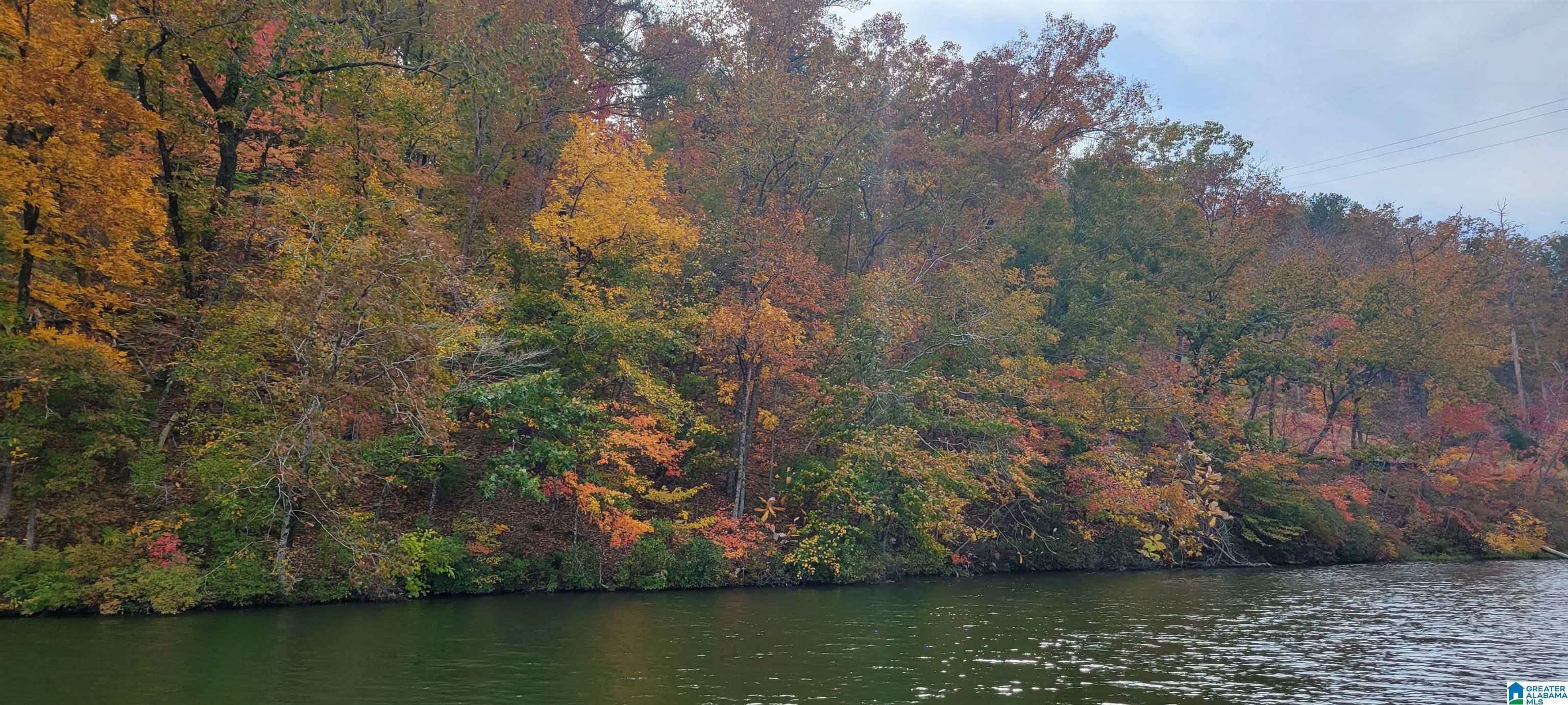 Lot 11 PRESERVE CIRCLE, ROCKFORD, AL lhrmls01454992