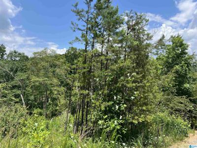 Lot40 COUNTY ROAD 214