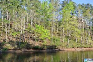 Lot 5 CO RD 816