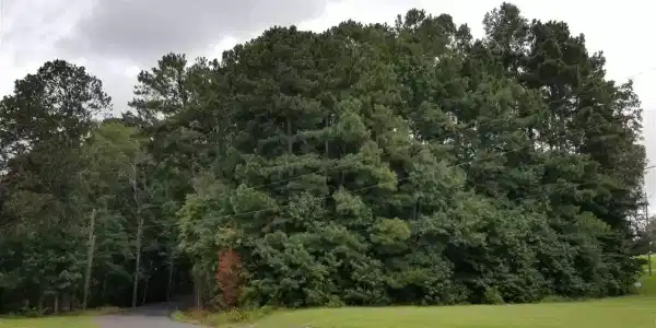 Lot 5 TAMMIE DR
