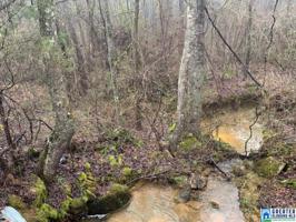 Lot 3.75 acres HURRICANE RD