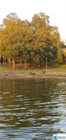 Lot 38 ALLEN RD