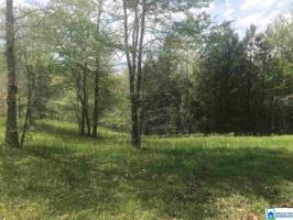1 BRUSHY CREEK RD