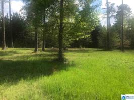 2 BRUSHY CREEK RD