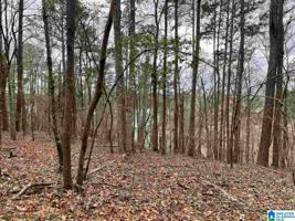 Lot 8 EVERGREEN CREST