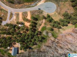 Lot 29 COUNTY ROAD 371
