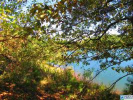 18 +/- Acres CO RD 2811