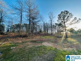 Lot 1B WARD HAVEN DRIVE