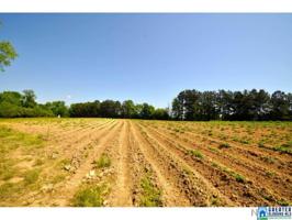 445 CO RD 1301