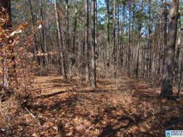 1 Rock Creek CO RD 4312
