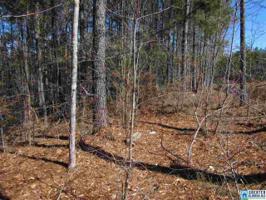 2 Rock Creek CO RD 4312