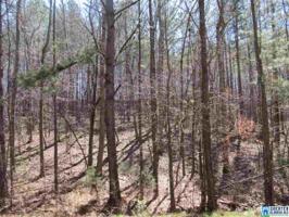 5 Rock Creek CO RD 4312