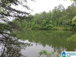 Lot 33.5 Ac. WEDOWEE CREEK VIEW DRIVE