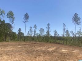 Tract 1 COUNTY ROAD 329